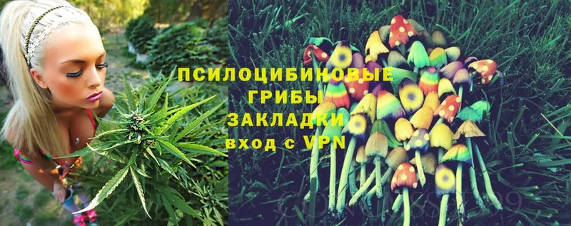 darknet формула  Дагестанские Огни  Псилоцибиновые грибы Psilocybine cubensis 